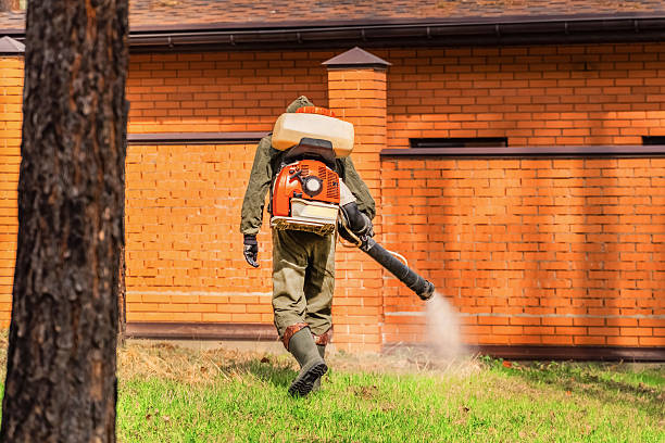 Trusted Cockroach Control service in Penn Yan, NY - Nex Pest Control